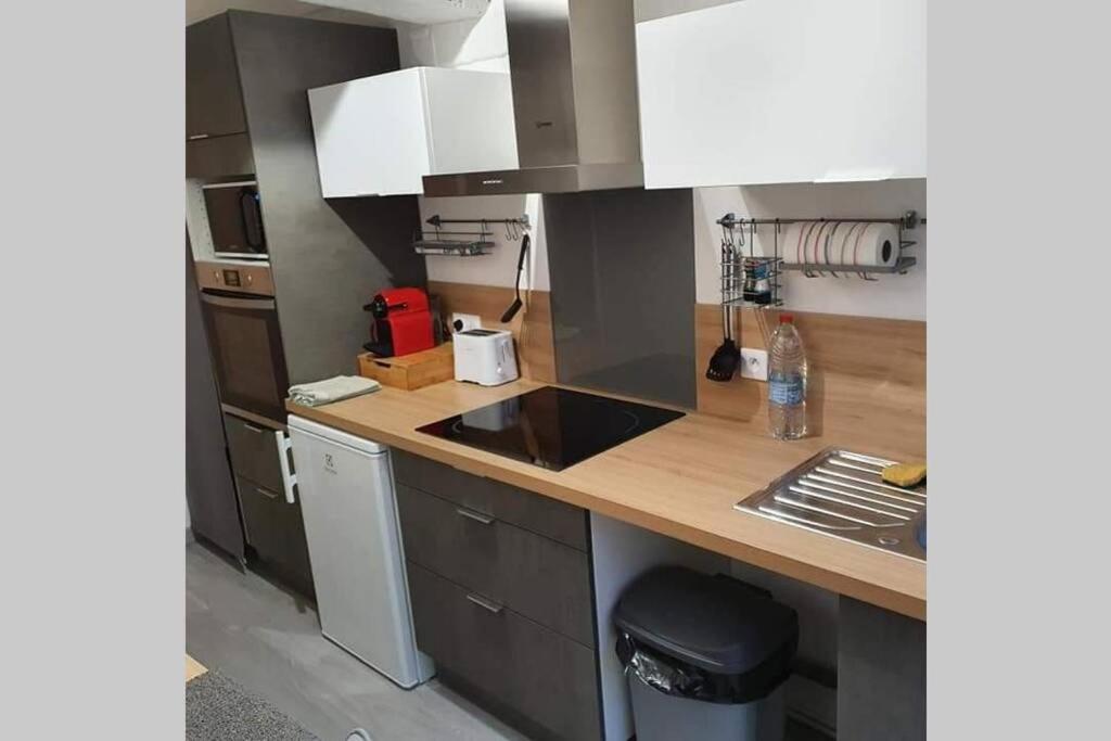 Appartement Avec Jardin Hyper Entre Valenciennes Buitenkant foto