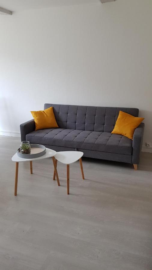 Appartement Avec Jardin Hyper Entre Valenciennes Buitenkant foto